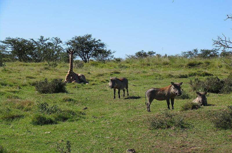 Lalibela GR (15).jpg